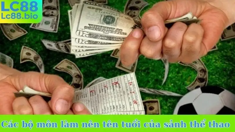Các bộ môn làm nên tên tuổi của sảnh thể thao