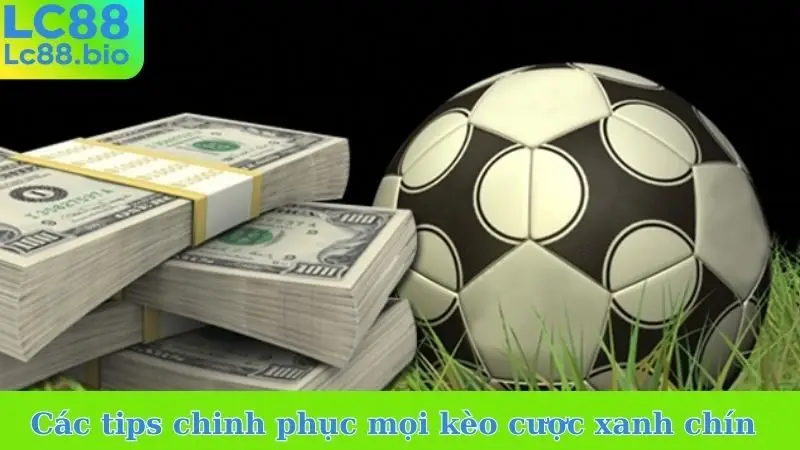 Các tips chinh phục mọi kèo cược xanh chín